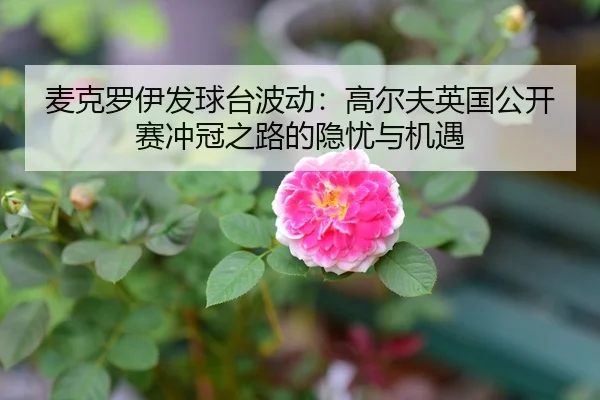 麦克罗伊发球台波动：高尔夫英国公开赛冲冠之路的隐忧与机遇
